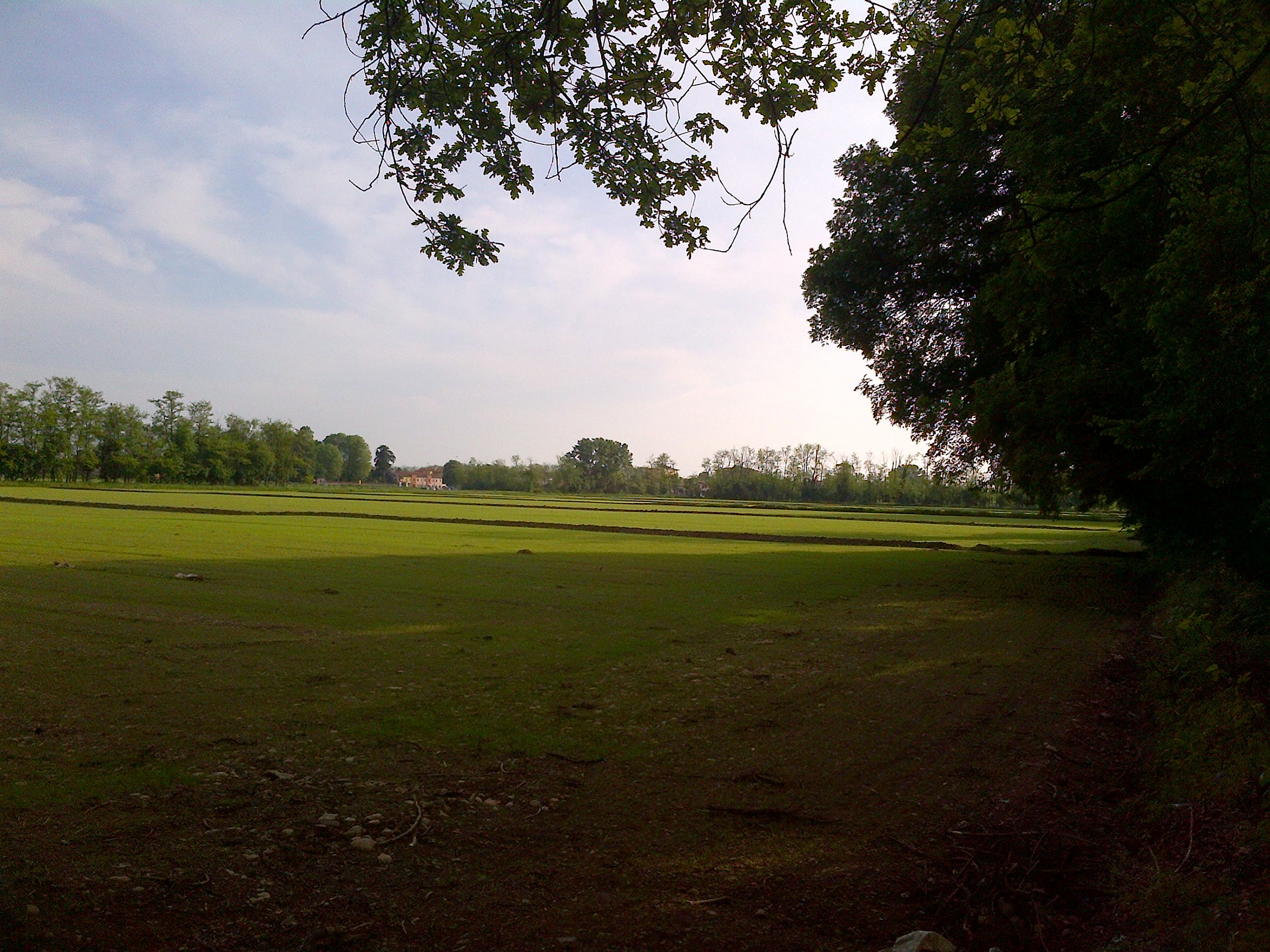 a pause, a photo, a moment of eternity '