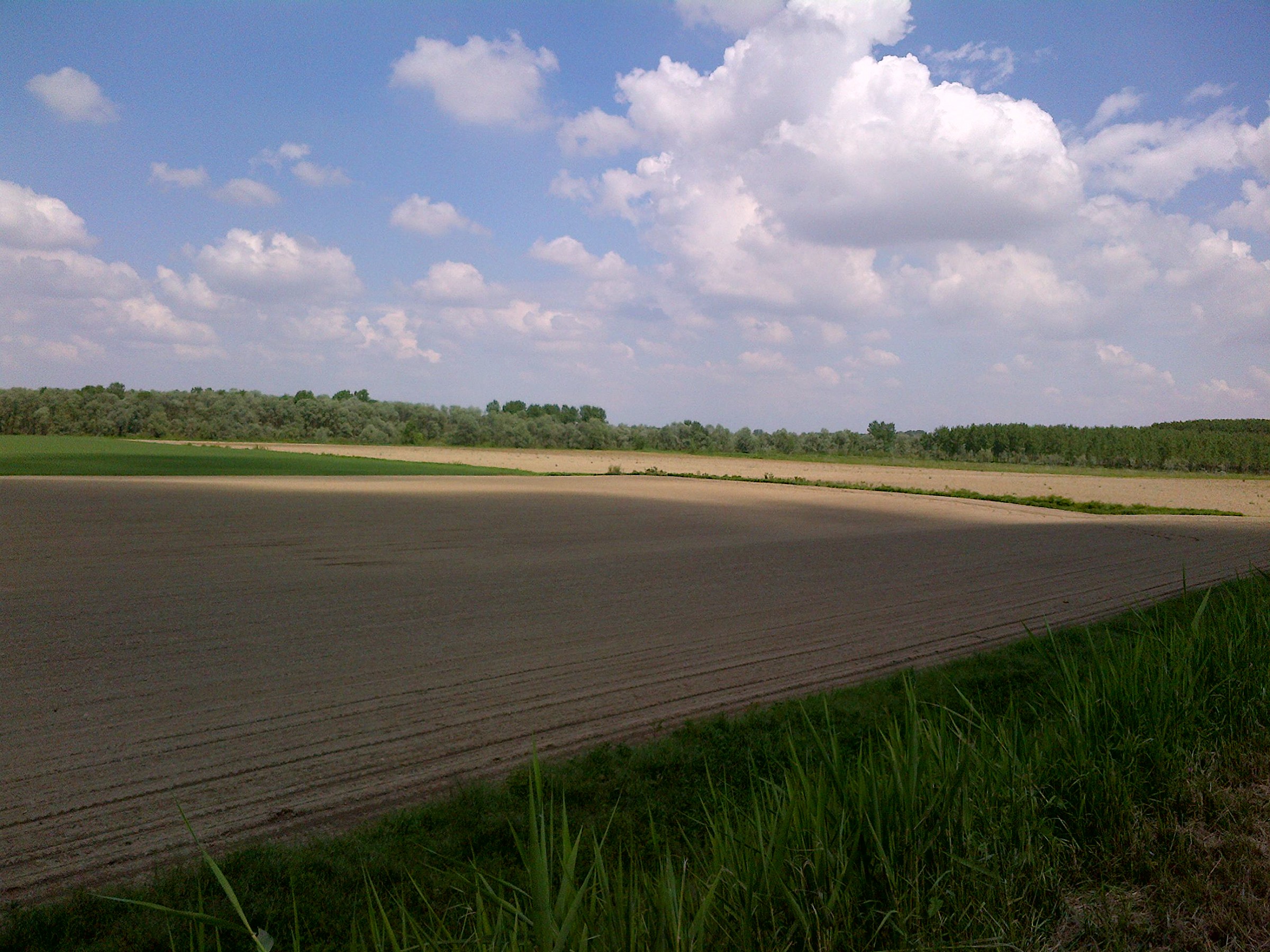the landscape opens out towards the 'oltrepo' buntin...