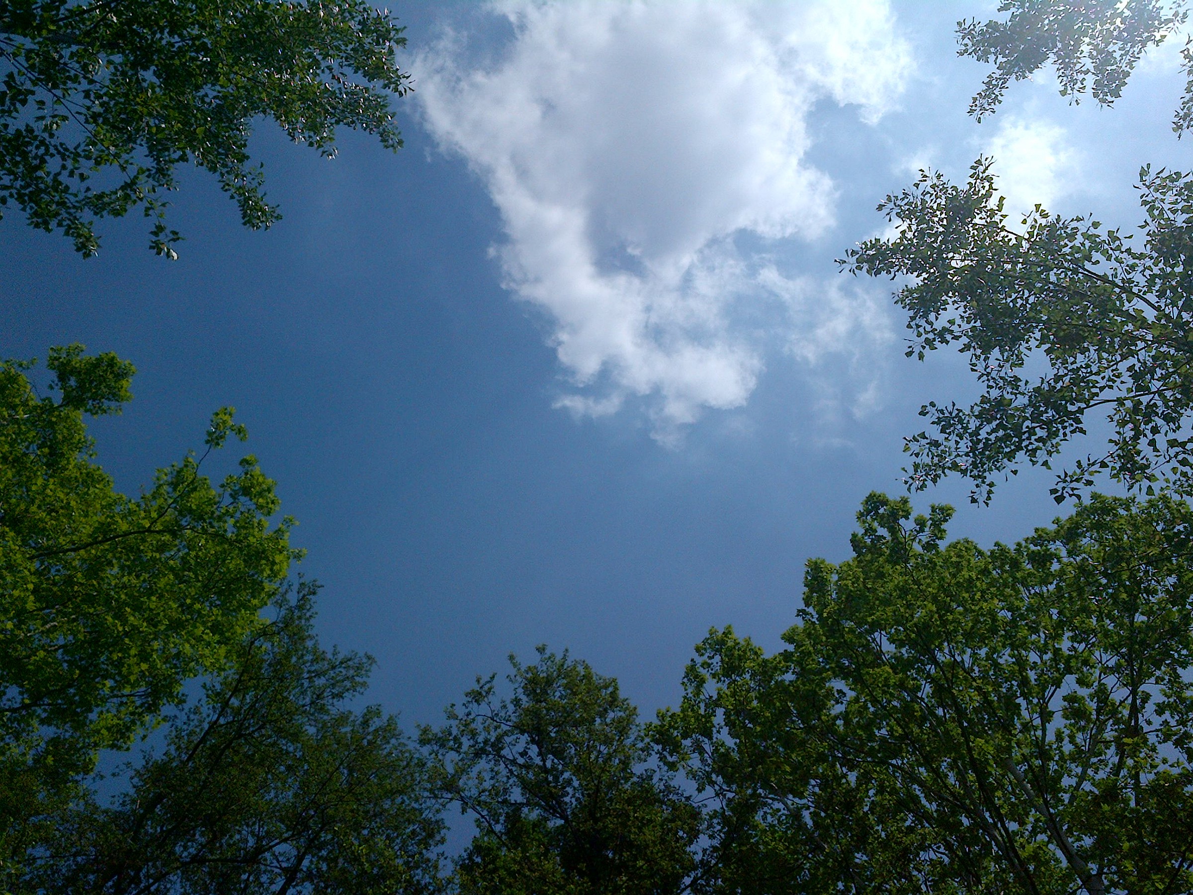 the sky and 'blue above the clouds