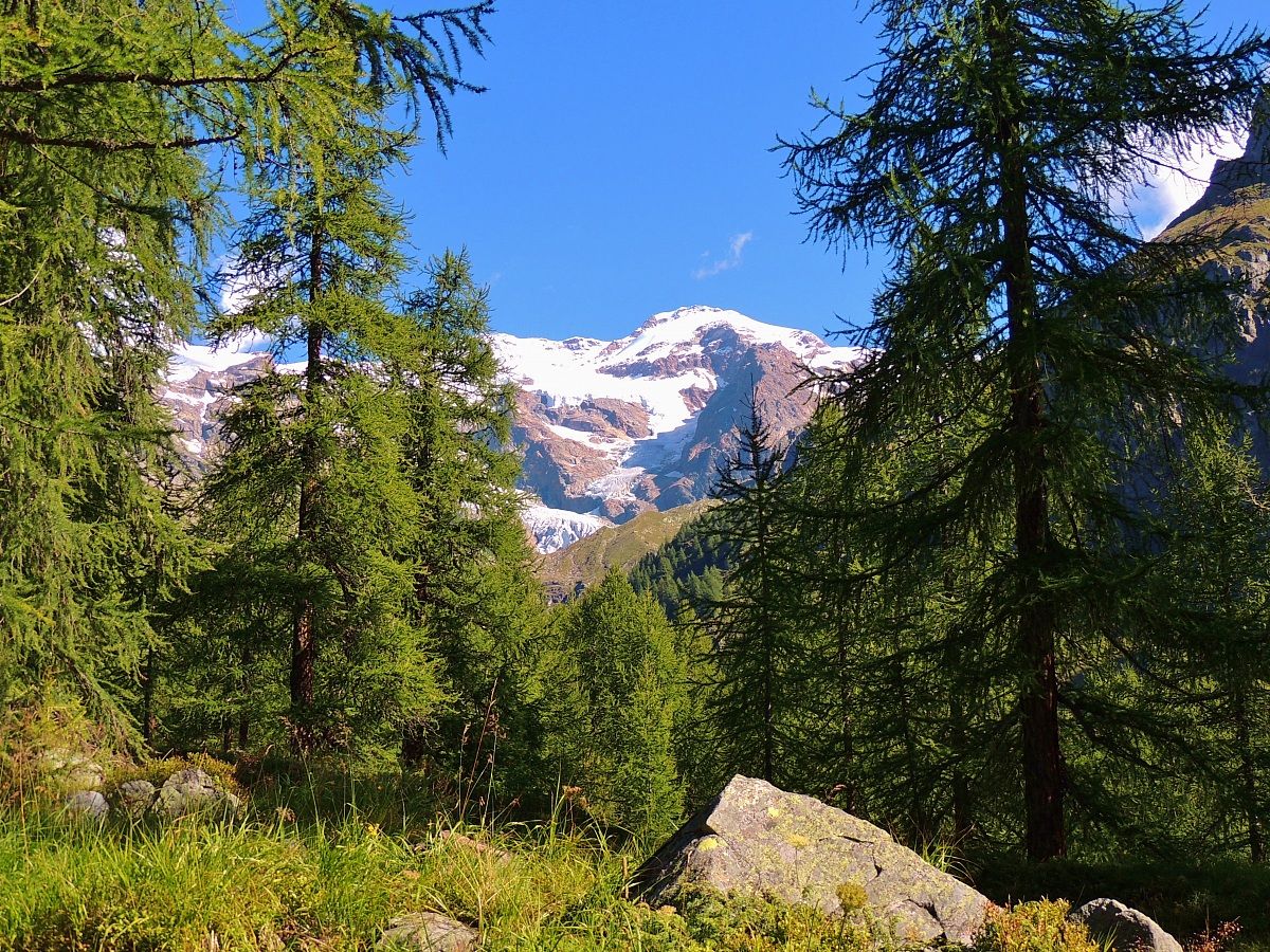 Il Monte Rosa e le sue cime