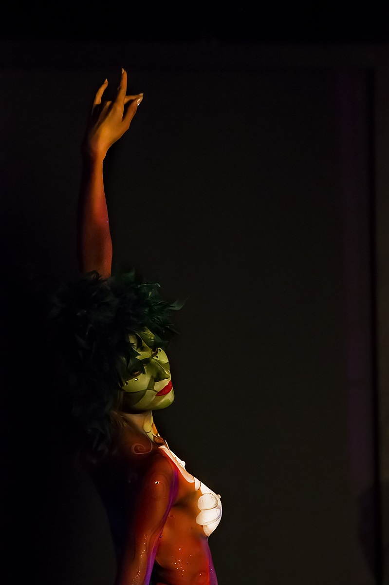 lights and shadows of the stage