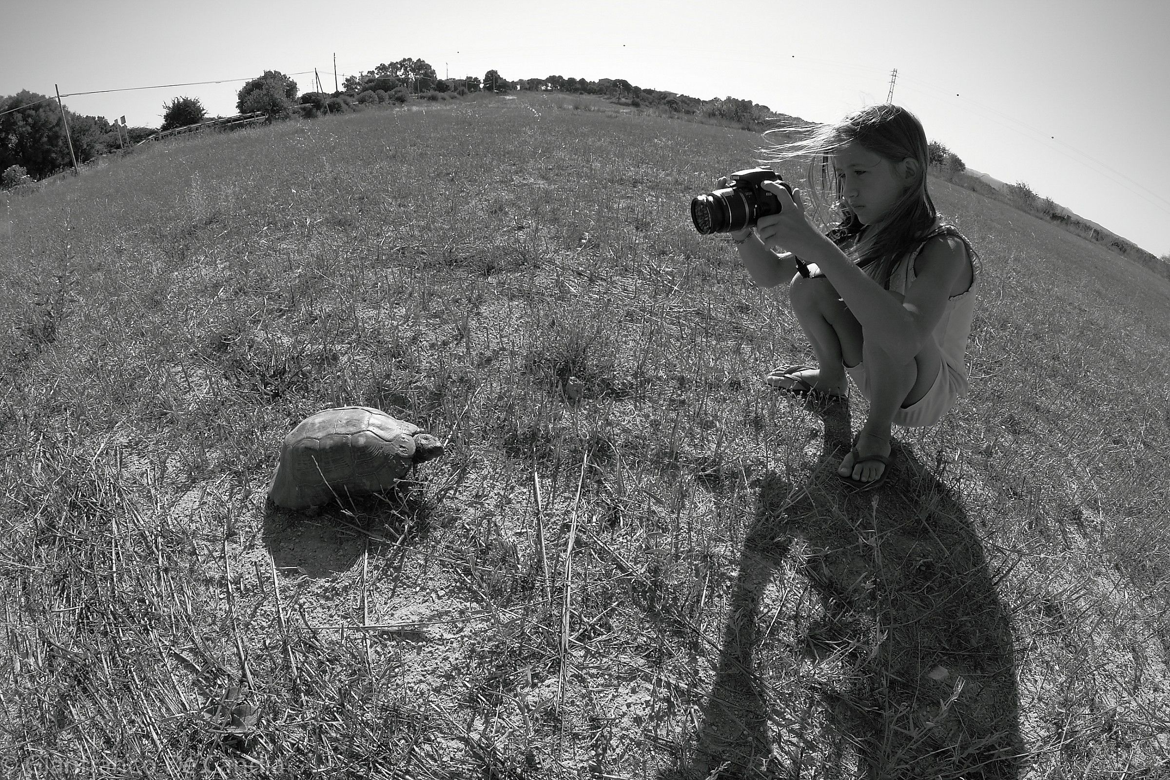 Piccoli fotografi crescono