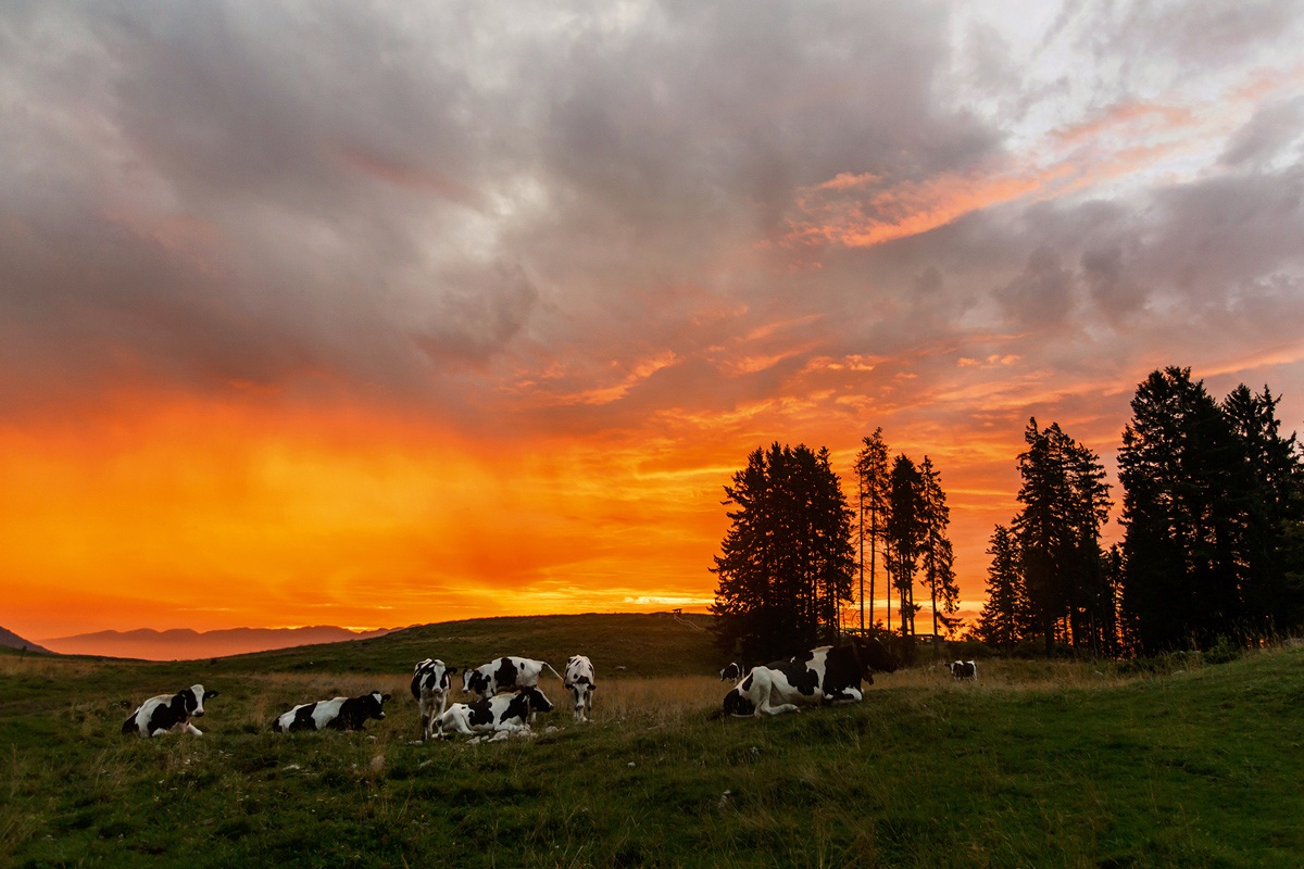 Alba magica sul Baldo...