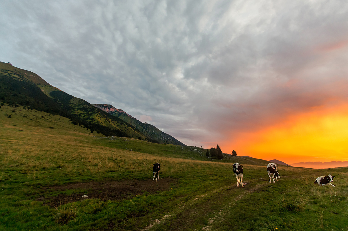Alba magica sul Baldo...
