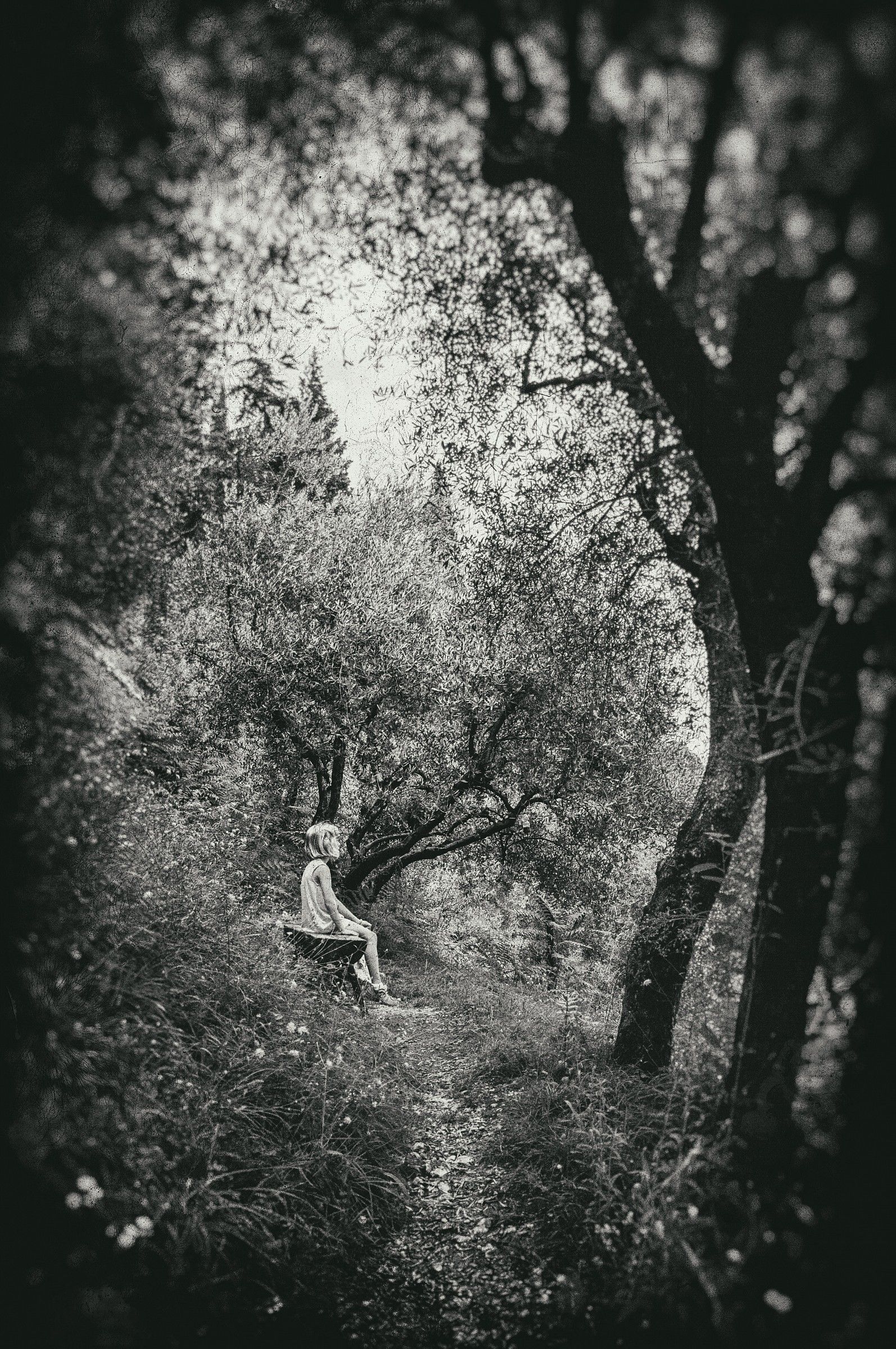 Like a fairy tale ...