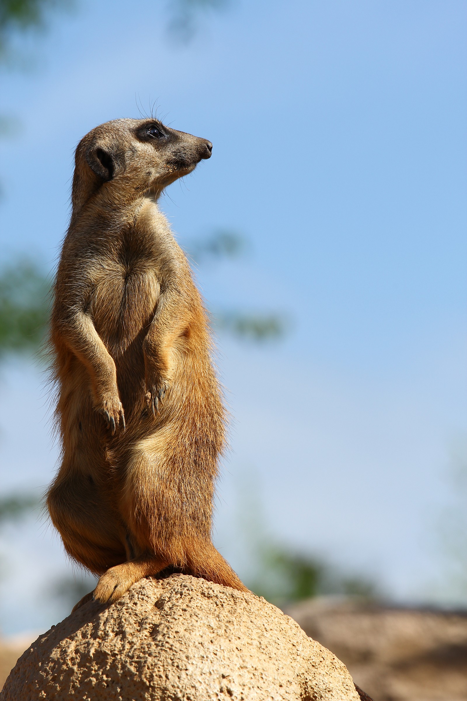 Watchman, what of the night?