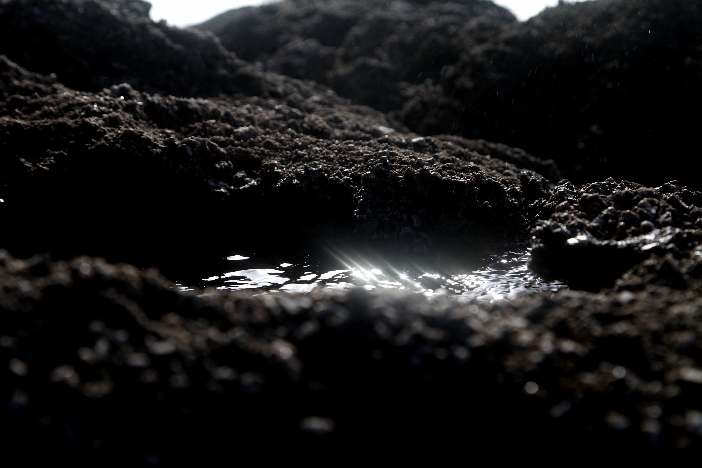Reflections Nature Reserve