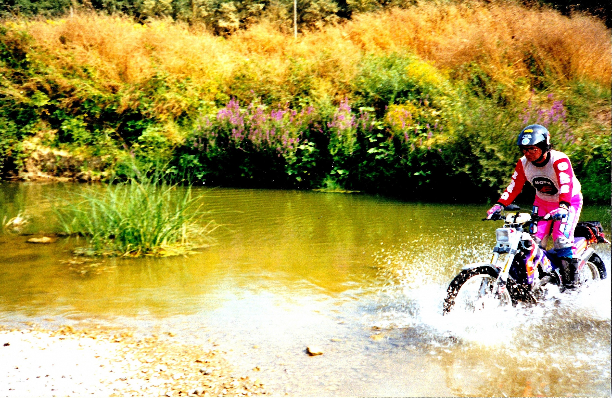 the trial of Abbott and Costello