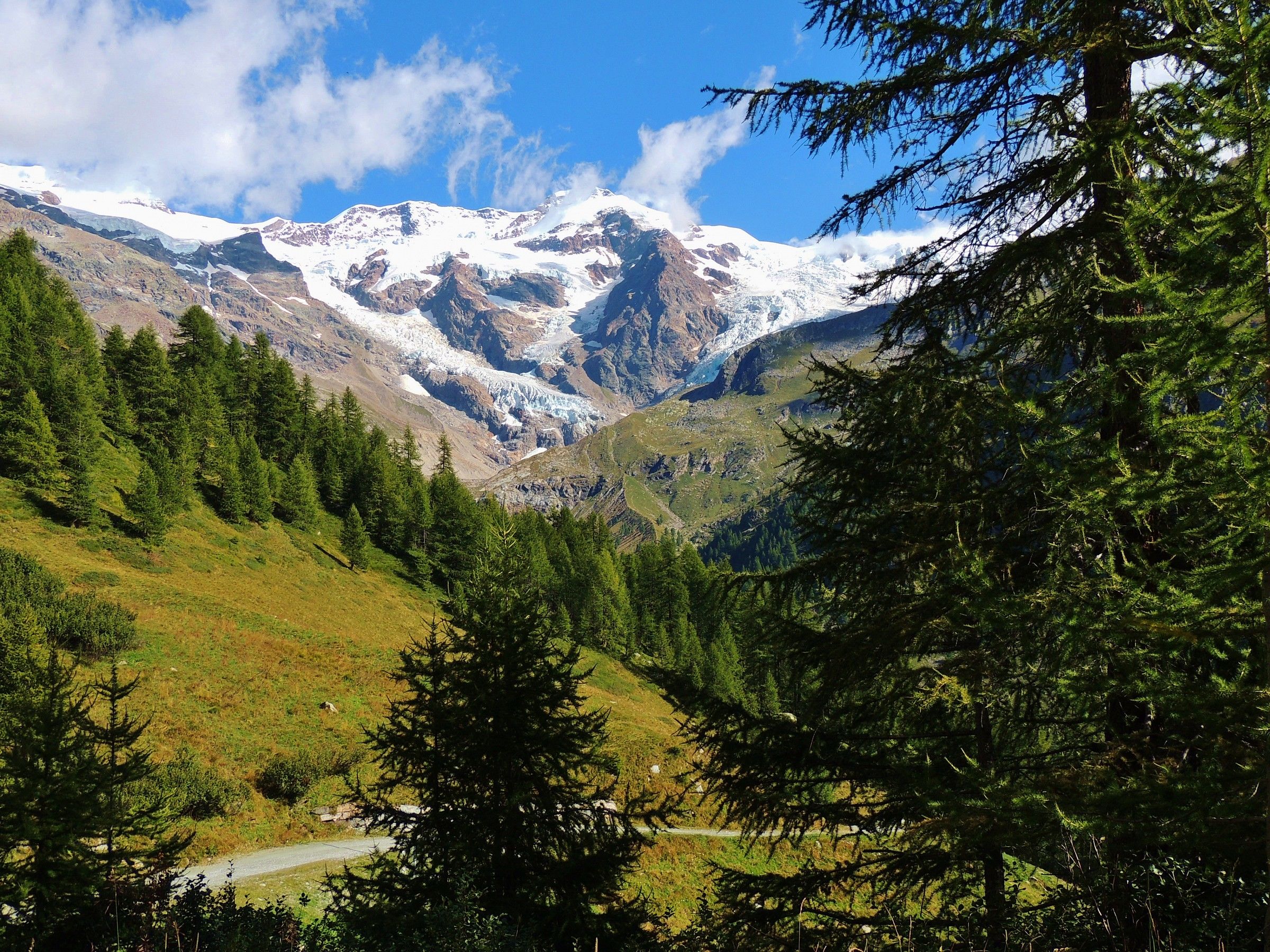 Il Monte rosa e le sue cime-6