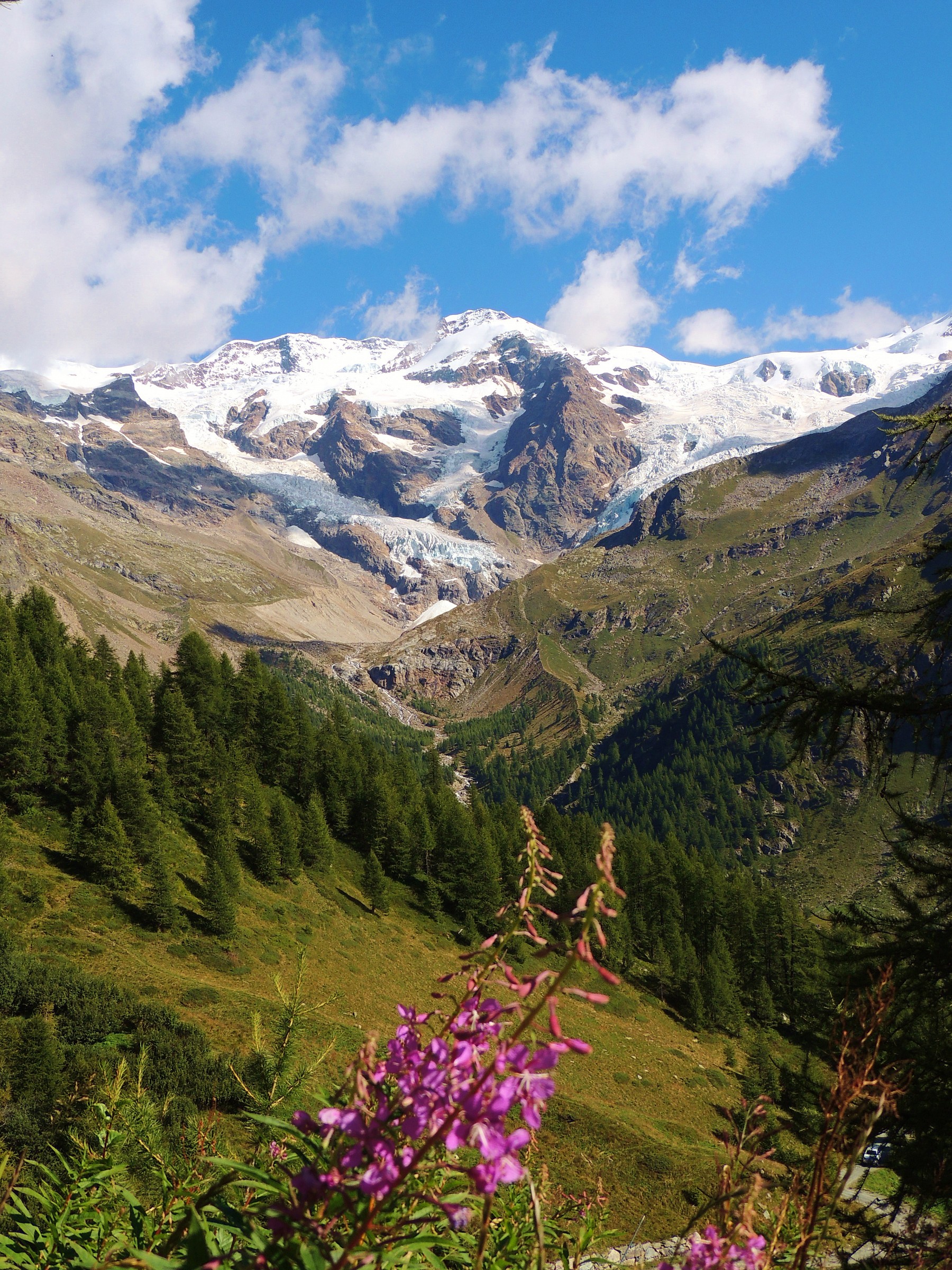 Il Monte rosa e le sue cime-8