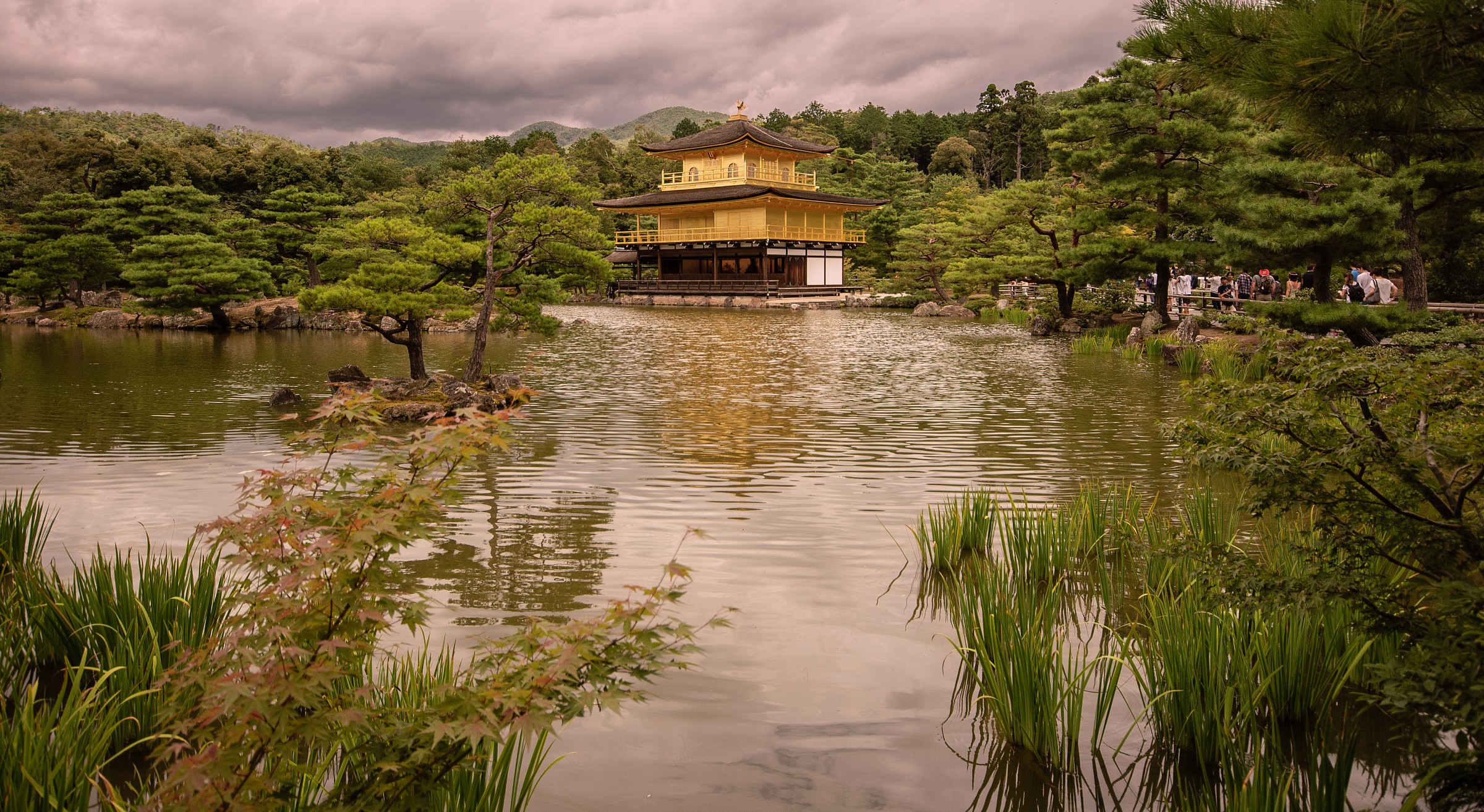 The Golden Pavilion