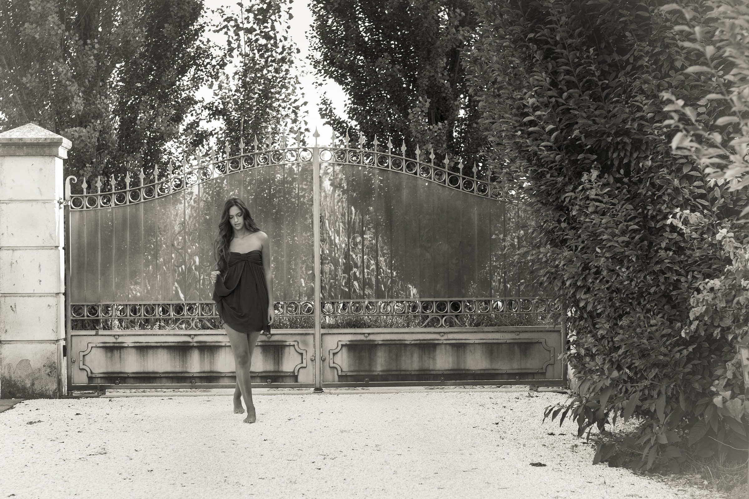 Shyness ... not "canceled" !!!