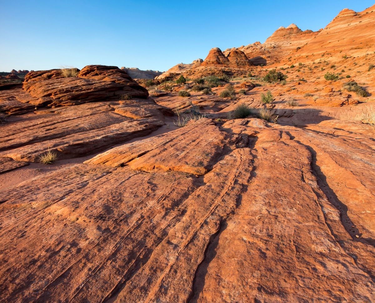 Sulla strada per the Wave 2