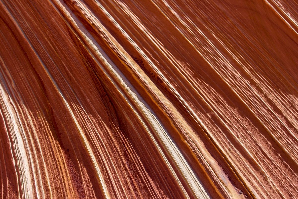 Dettagli nella roccia 2