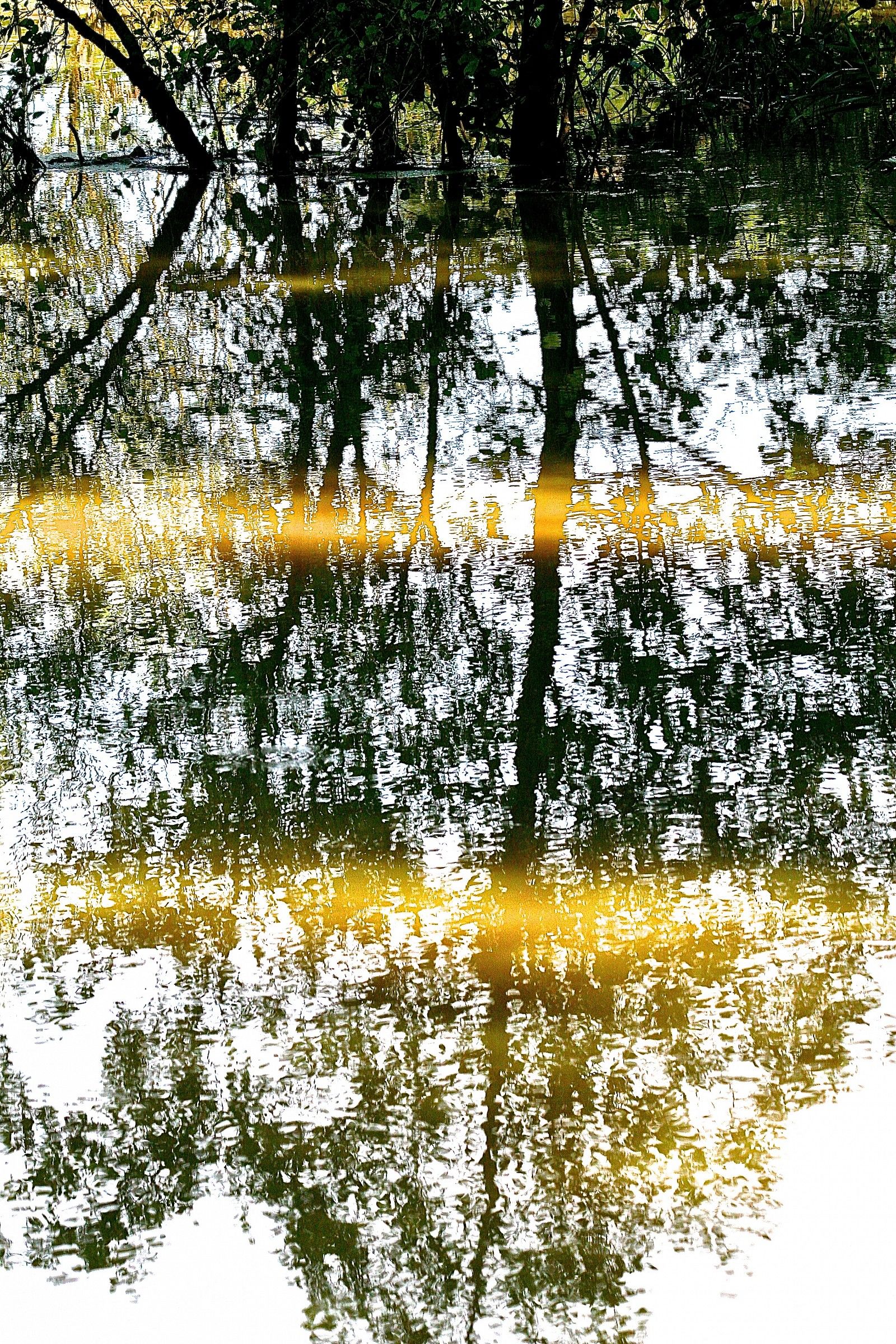 raggio di sole sul Sile