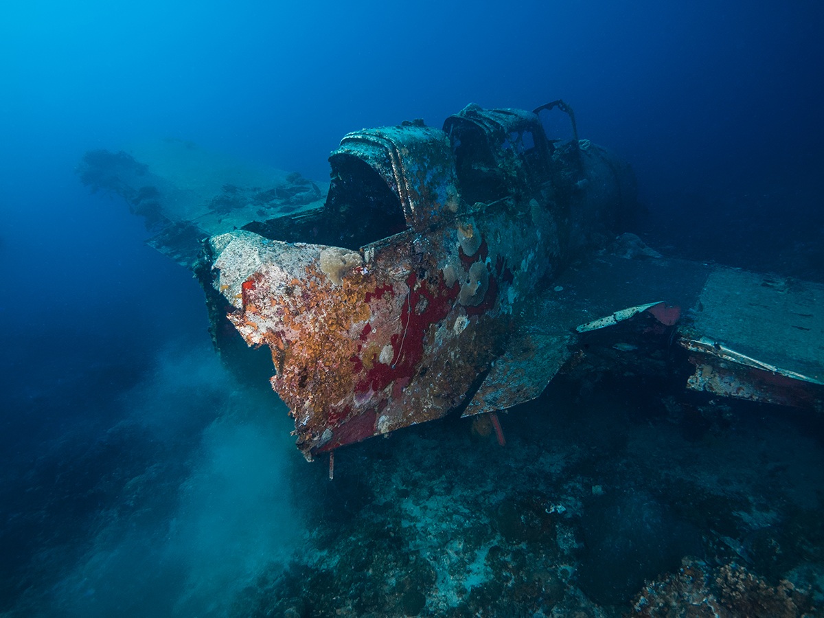 Jake seaplane wreck (Palau, Micronesia)