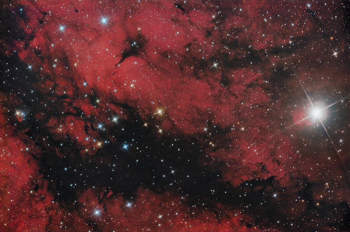 Sadr..il heart of the Swan