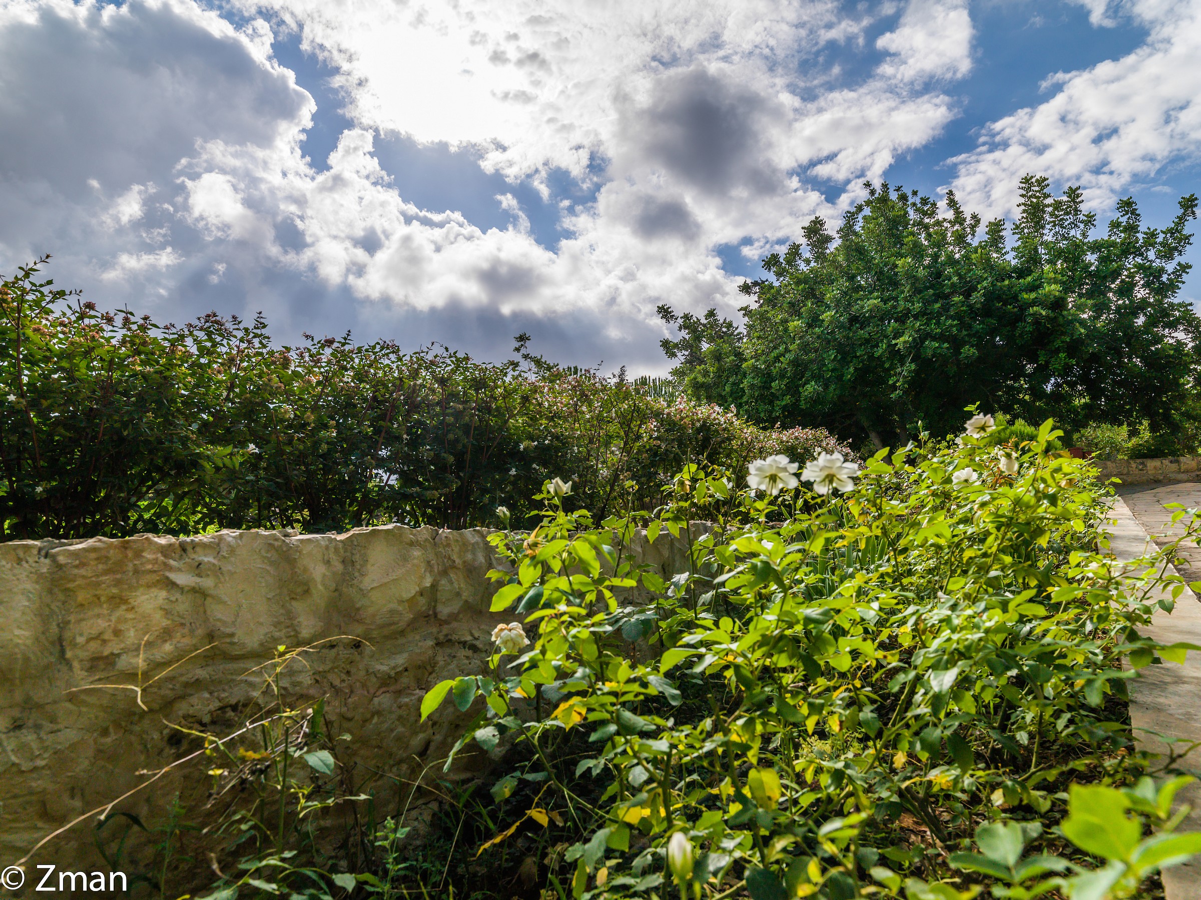Vista dalla strada Approach