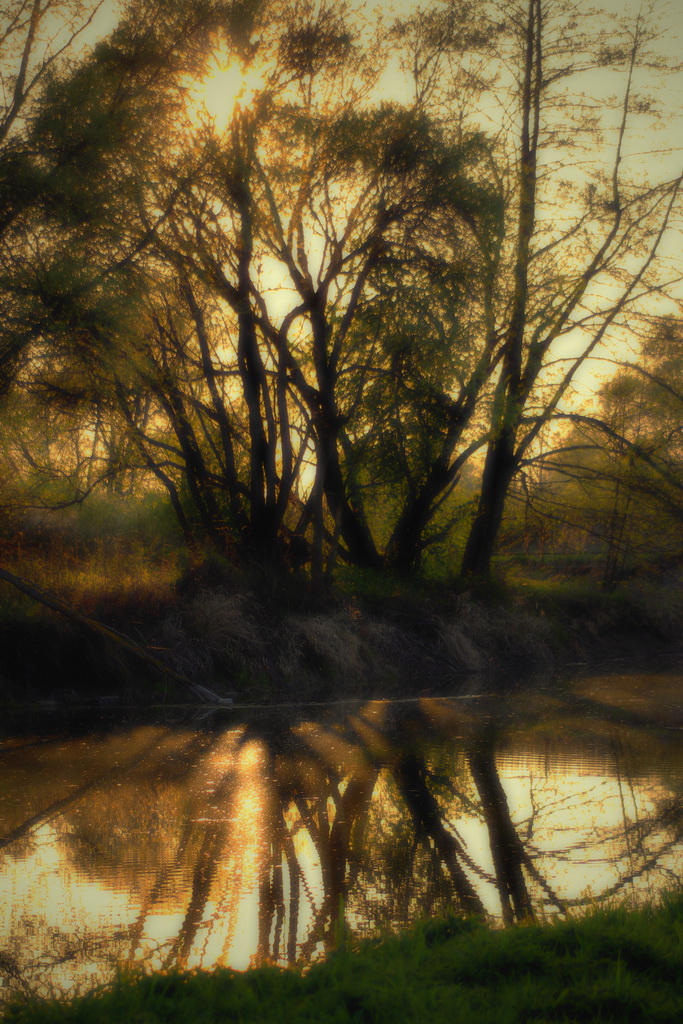 The river Ipel in gold