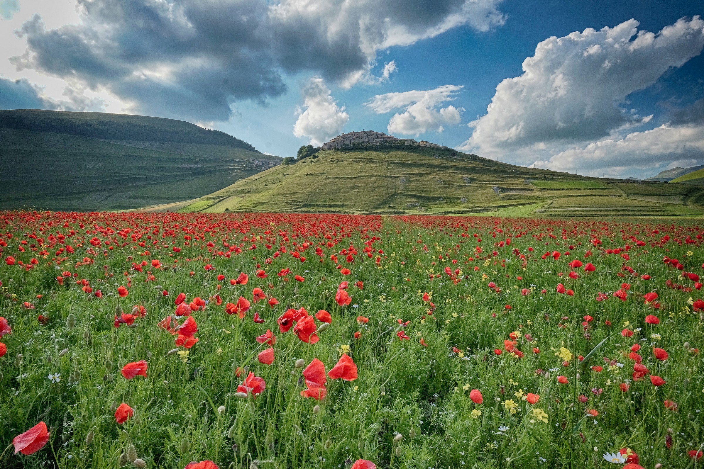 Fiorita to Castelluccio