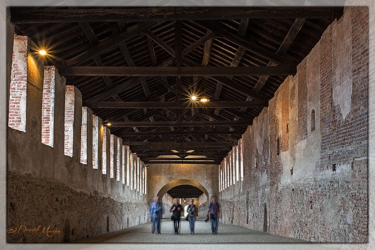 4 photographers in search of subject