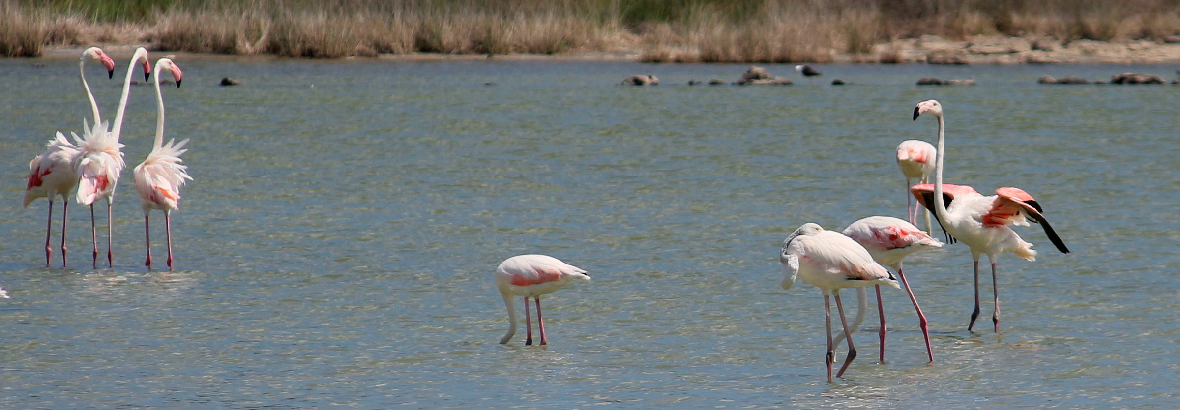 anvedi chi c'e'.........