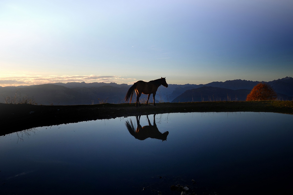 Walking together ........