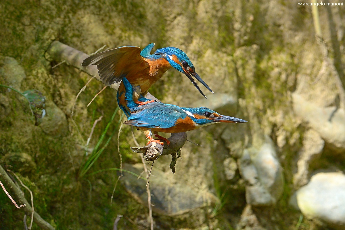 Una passione sfrenata