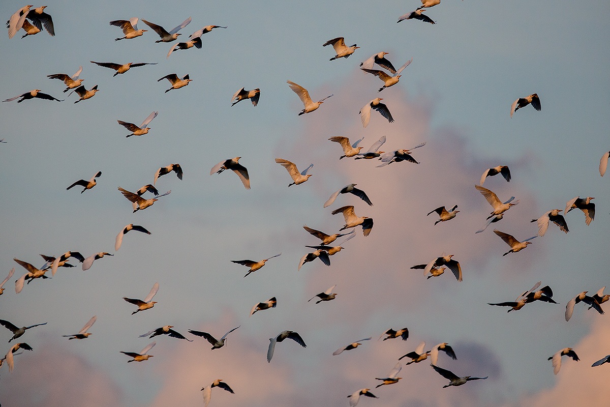 Lo spettacolo della natura