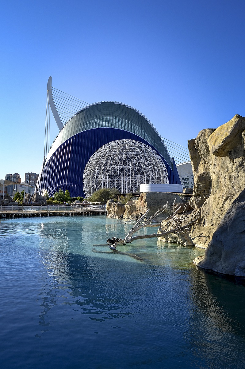 Oceanographic Valencia