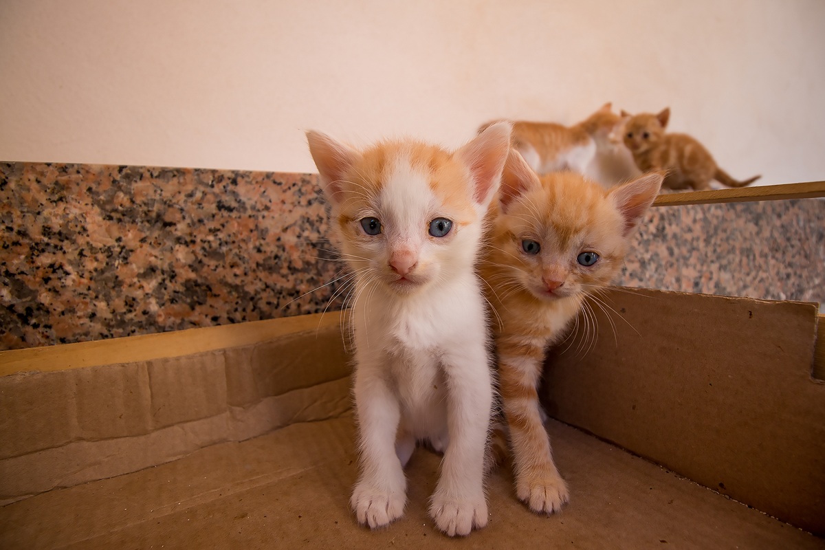 Fratè ci penso io a questo...!!!