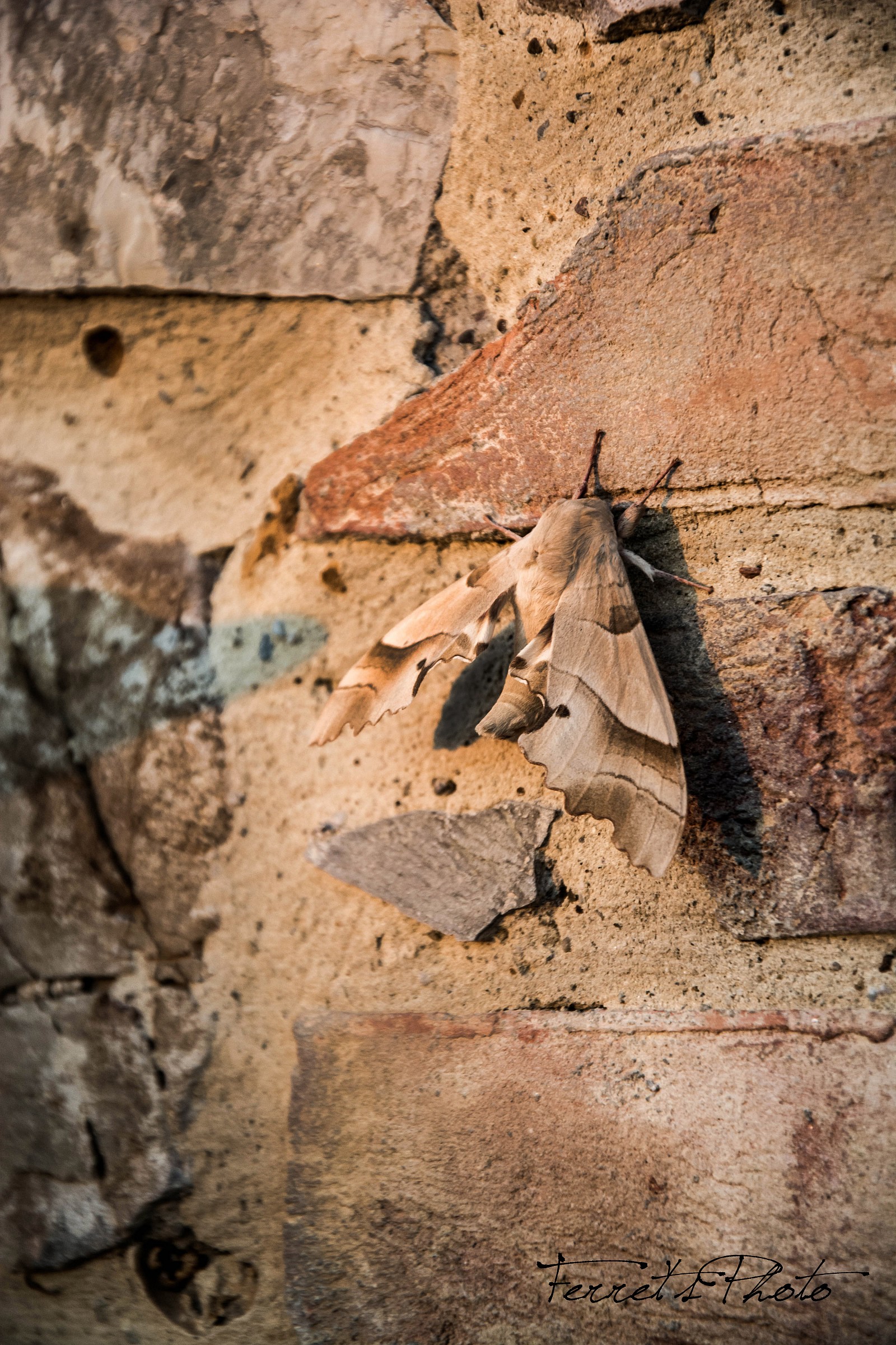 Go unnoticed ... or almost