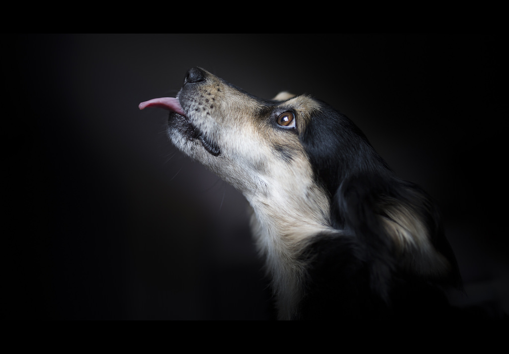 I've got a hunger ...