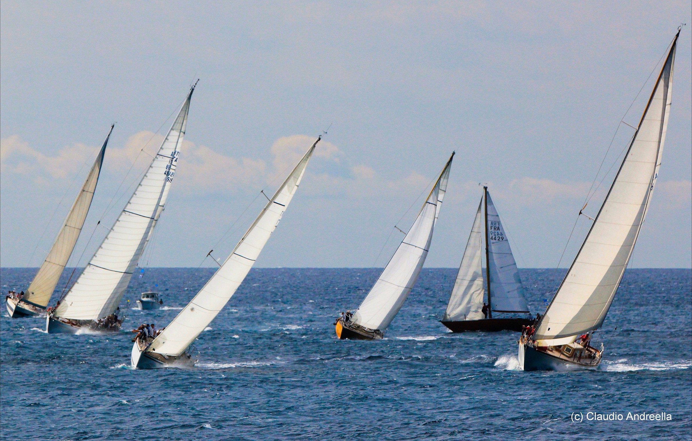 The ladies of the sea sails vintage 2014 Imperia