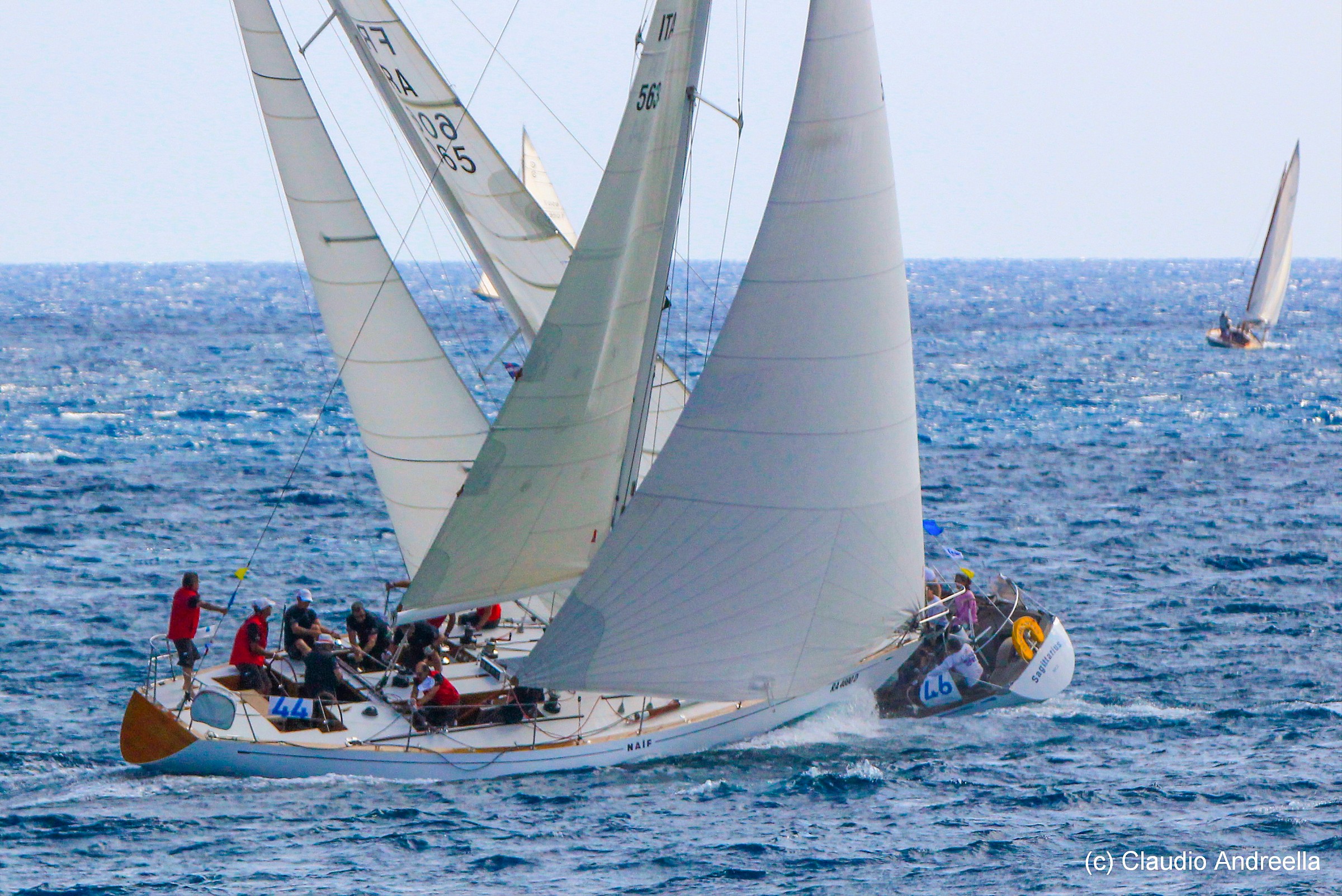 The ladies of the sea sails vintage 2014 Imperia