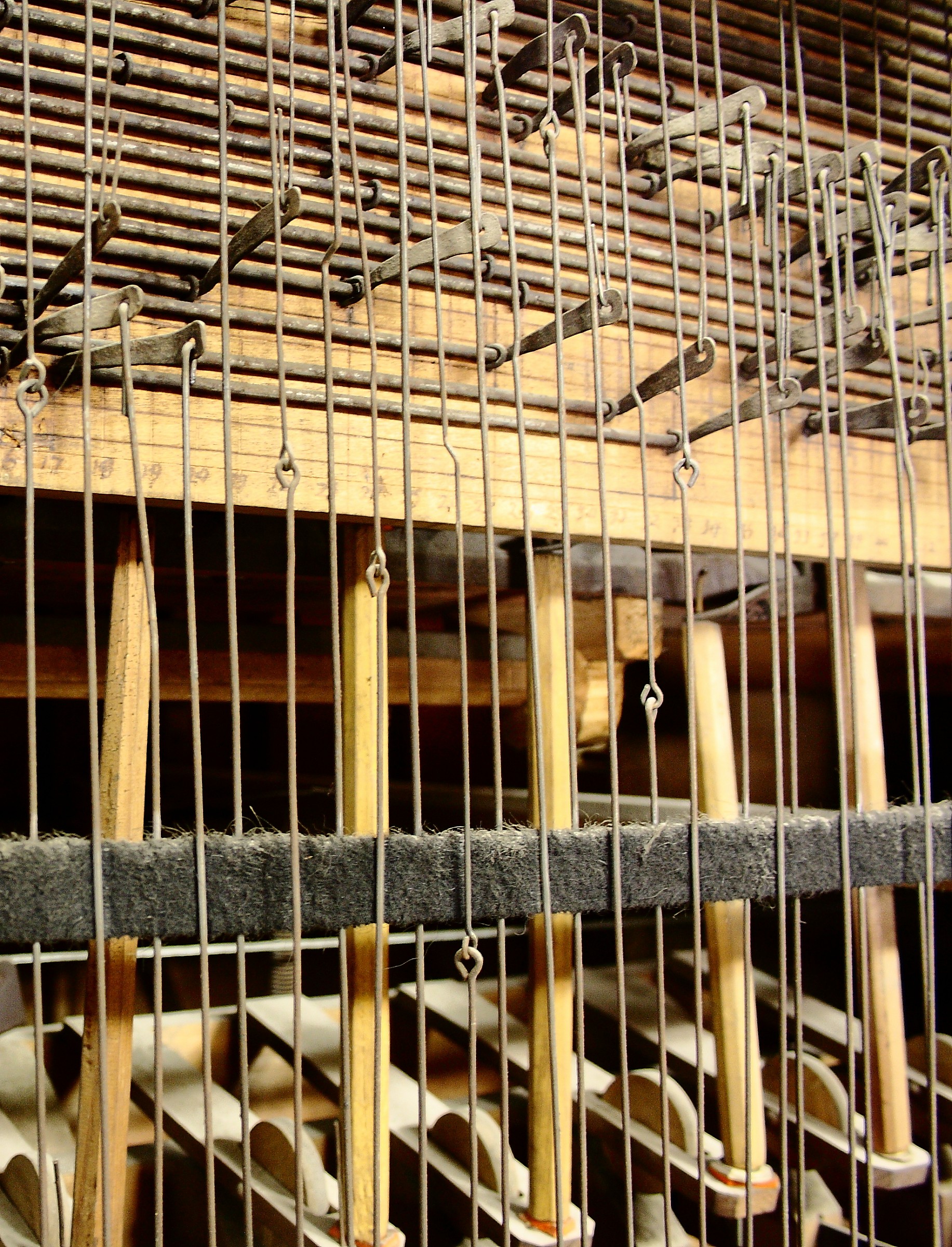 I percorsi dei suoni