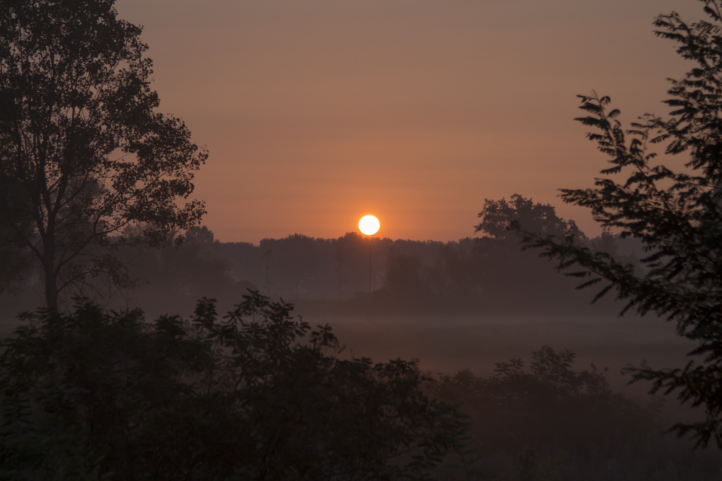 Alba nel Parco Adda Sud