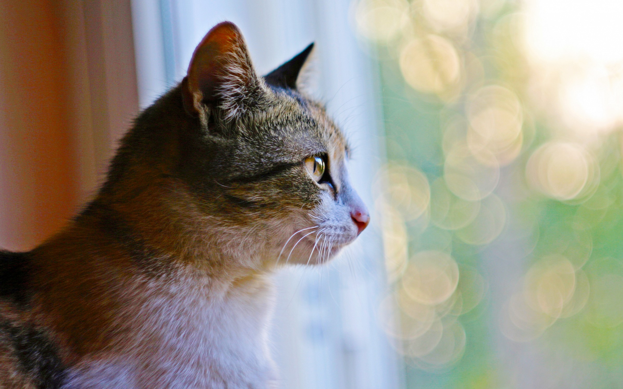 Vintage Helios 44m - f:2