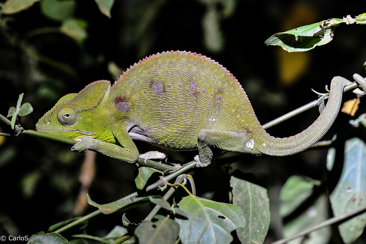 Al tramonto in Madagascar