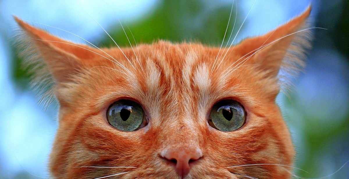 What is approaching ...