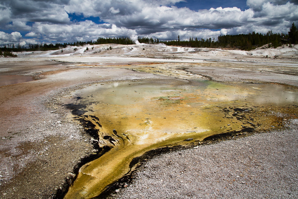 Yellowstone 1