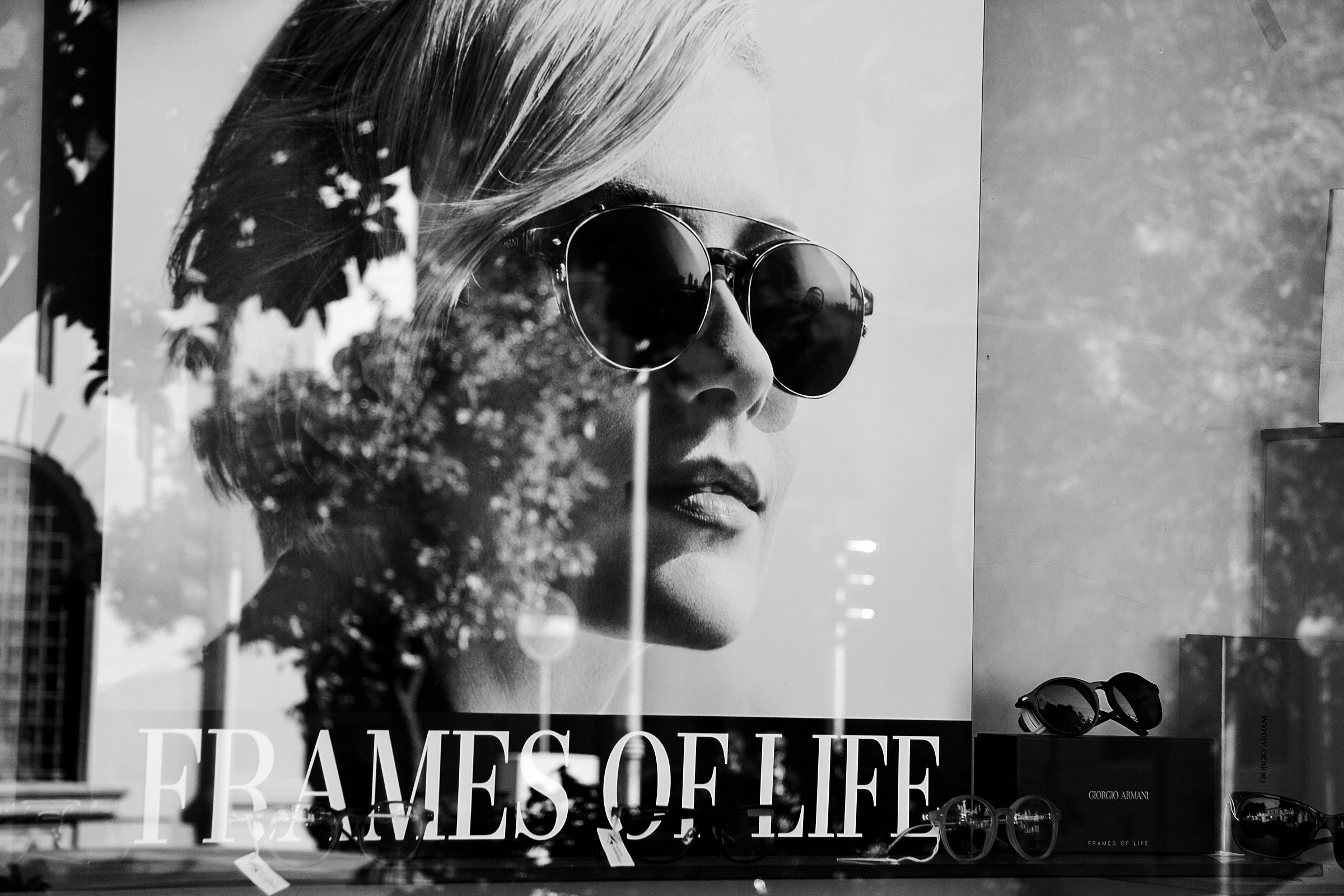 Frames of Life