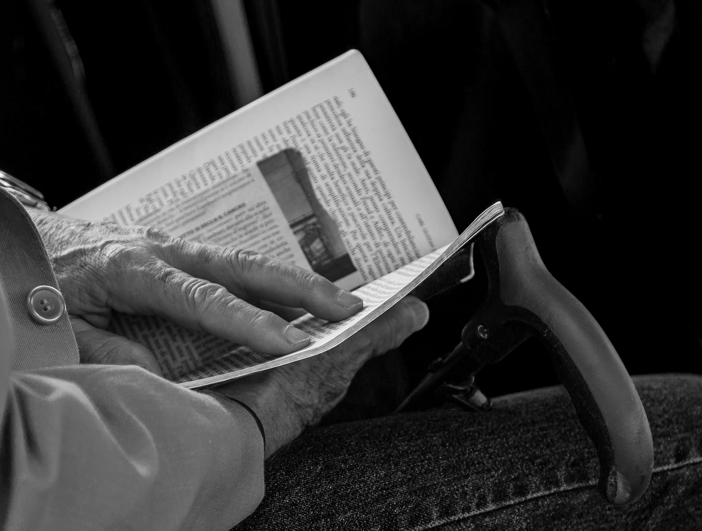 I compagni di una vita.