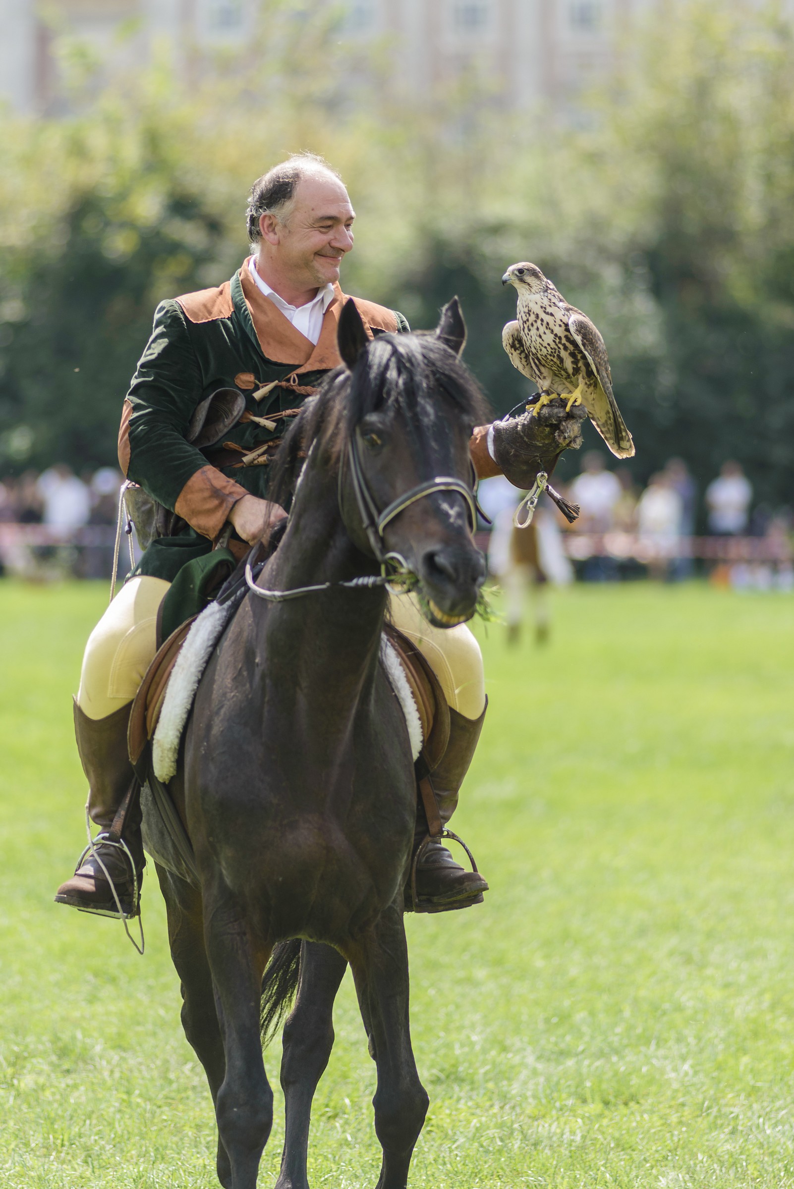 Complicity (the falcon and the falconer)