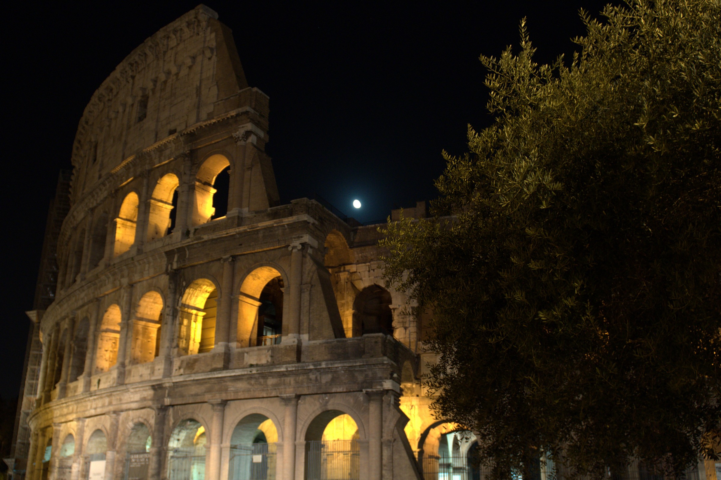 Colosseo particolare