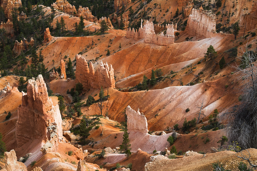 bryce canyon