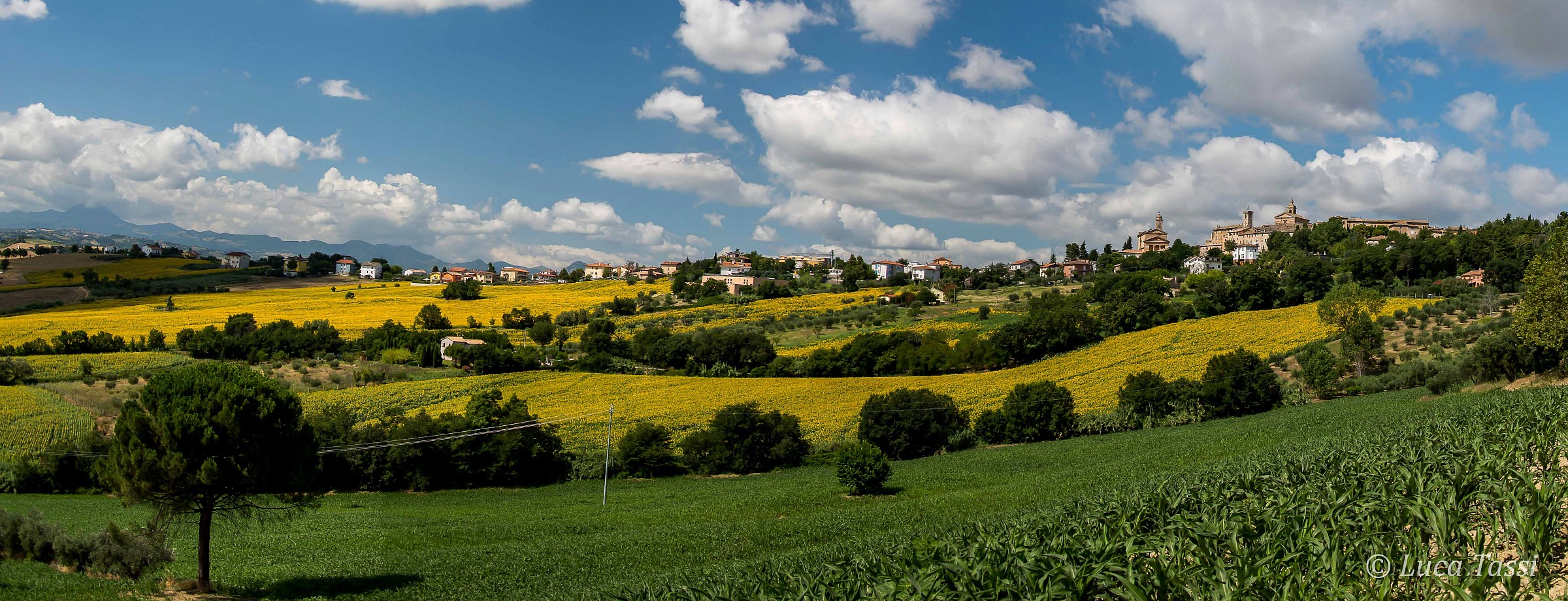 Panorama of Belvedere Ostrense