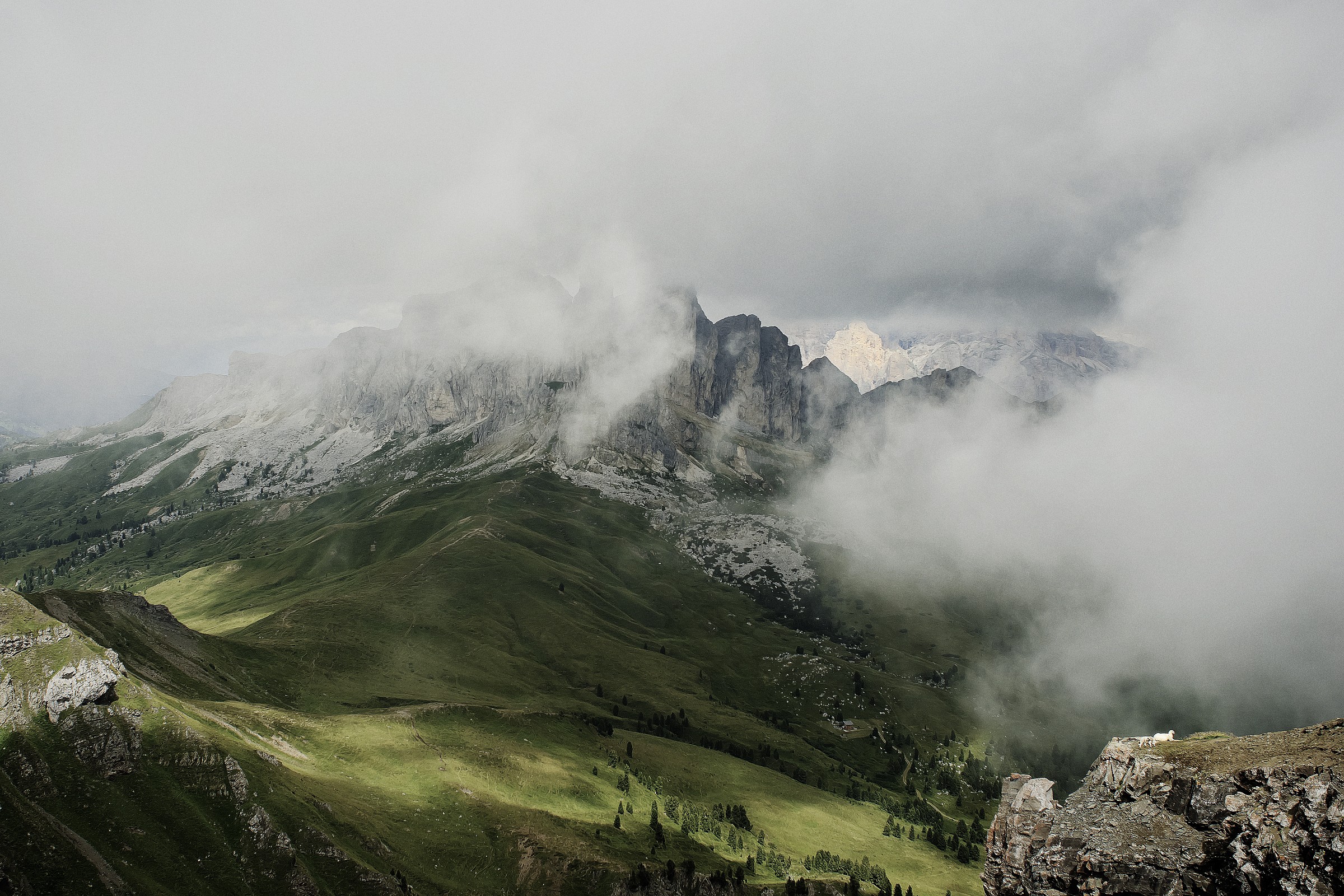 "Animals and mountains under the clouds" - Dolomit...