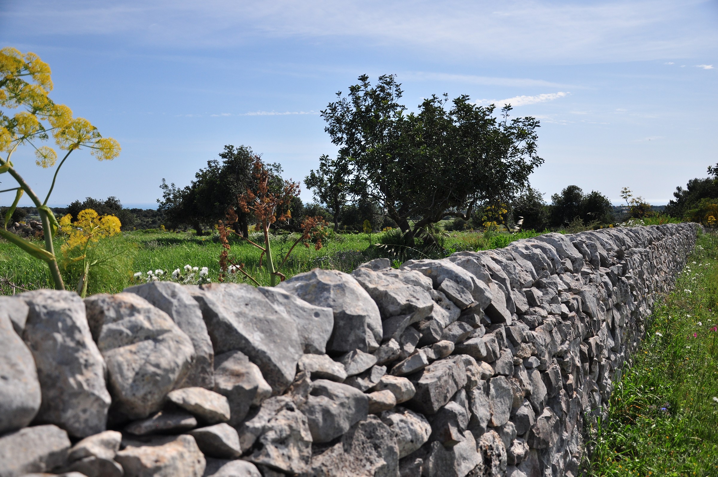 Dry stone walls in the countryside iblee