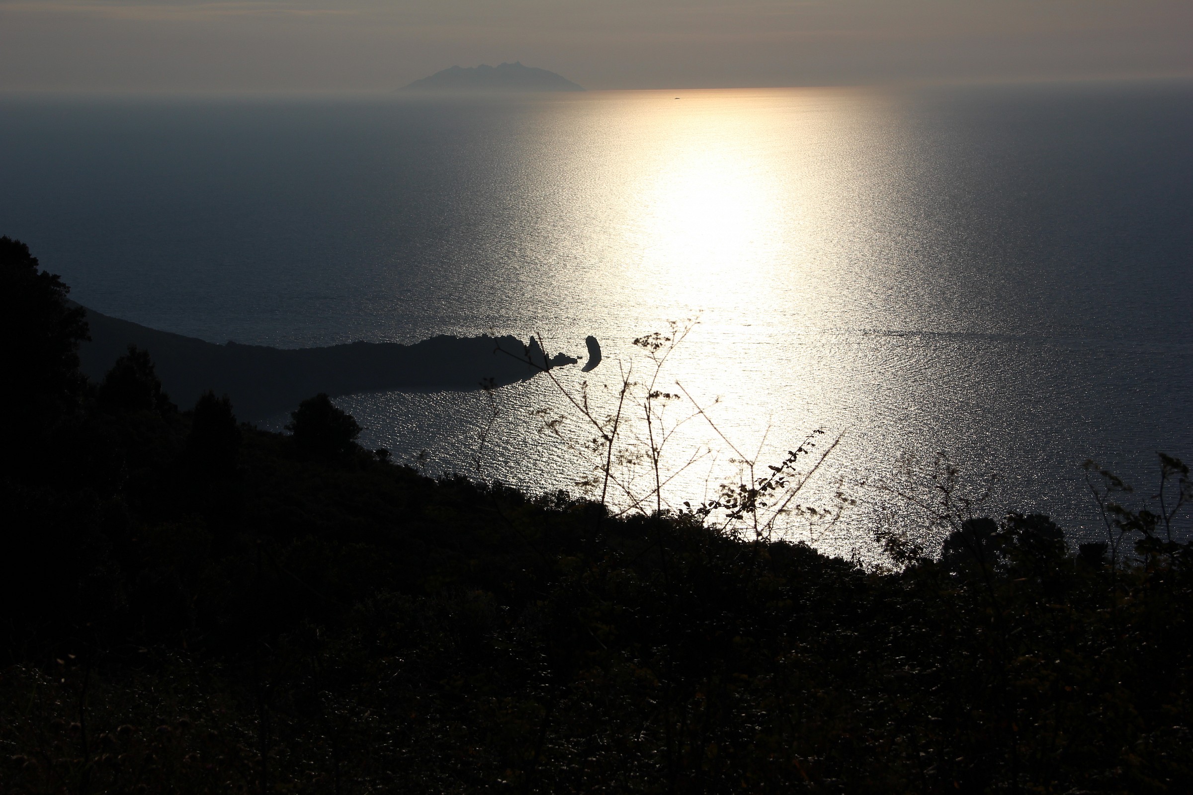 Island of Montecristo from lily